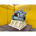 CUMMINS 6BT Engine Assembly thumbnail 17