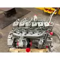 CUMMINS 6BT Engine Assembly thumbnail 8