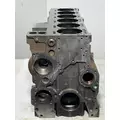 CUMMINS 6CT8.3L Cylinder Block thumbnail 2