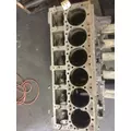 CUMMINS 6CT8.3 Cylinder Block thumbnail 2