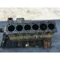 CUMMINS 6CT8.3 Cylinder Block thumbnail 4