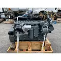 CUMMINS 6CT8.3 Engine Assembly thumbnail 2