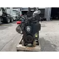 CUMMINS 6CT8.3 Engine Assembly thumbnail 5