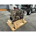 CUMMINS 6CT8.3 Engine Assembly thumbnail 7