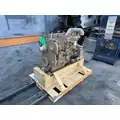 CUMMINS 6CT8.3 Engine Assembly thumbnail 6