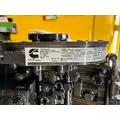 CUMMINS 6CT8.3 Engine Assembly thumbnail 11