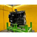 CUMMINS 6CT8.3 Engine Assembly thumbnail 7