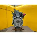 CUMMINS 6CT8.3 Engine Assembly thumbnail 12