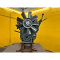 CUMMINS 6CT8.3 Engine Assembly thumbnail 8