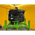 CUMMINS 6CT8.3 Engine Assembly thumbnail 12