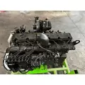 CUMMINS 6CT8.3 Engine Assembly thumbnail 4