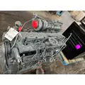 CUMMINS 6CT8.3 Engine Assembly thumbnail 7