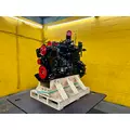 CUMMINS 6CT8.3 Engine Assembly thumbnail 12