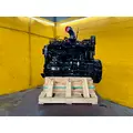 CUMMINS 6CT8.3 Engine Assembly thumbnail 16