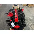 CUMMINS 6CT8.3 Engine Assembly thumbnail 18