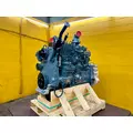 CUMMINS 6CT8.3 Engine Assembly thumbnail 6