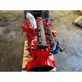 CUMMINS 6CT8.3 Engine Assembly thumbnail 5