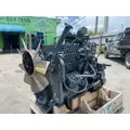CUMMINS 6CT8.3 Engine Assembly thumbnail 3