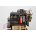 CUMMINS 6CT8.3 Engine Assembly thumbnail 6