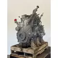 CUMMINS 6CT8.3 Engine Assembly thumbnail 1