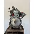 CUMMINS 6CT8.3 Engine Assembly thumbnail 4
