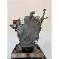 CUMMINS 6CT8.3 Engine Assembly thumbnail 8