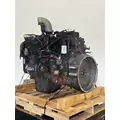 CUMMINS 6CT8.3 Engine Assembly thumbnail 3