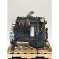 CUMMINS 6CT8.3 Engine Assembly thumbnail 6