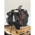 CUMMINS 6CT8.3 Engine Assembly thumbnail 7