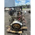 CUMMINS 6CT8.3 Engine Assembly thumbnail 4