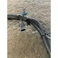 CUMMINS 9900I Engine Wiring Harness thumbnail 3