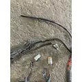 CUMMINS 9900I Engine Wiring Harness thumbnail 6