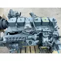 CUMMINS B5.9 Engine Assembly thumbnail 2