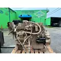 CUMMINS B5.9 Engine Assembly thumbnail 1