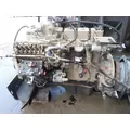 CUMMINS B5.9 Power Steering Pump thumbnail 3