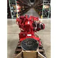 CUMMINS B6.7 Engine Assembly thumbnail 3
