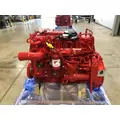CUMMINS B6.7 Engine Assembly thumbnail 3
