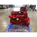 CUMMINS B6.7 Engine Assembly thumbnail 4