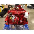 CUMMINS B6.7 Engine Assembly thumbnail 4