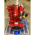 CUMMINS B6.7 Engine Assembly thumbnail 7