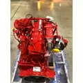 CUMMINS B6.7 Engine Assembly thumbnail 6