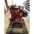 CUMMINS B6.7 Engine Assembly thumbnail 2