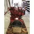 CUMMINS B6.7 Engine Assembly thumbnail 2