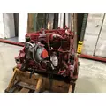 CUMMINS B6.7 Engine Assembly thumbnail 3