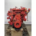 CUMMINS B6.7 Engine Assembly thumbnail 1