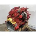 CUMMINS B6.7 Engine Assembly thumbnail 12