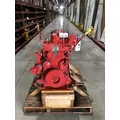 CUMMINS B6.7 Engine Assembly thumbnail 1