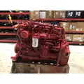 CUMMINS B6.7 Engine Assembly thumbnail 3