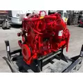 CUMMINS B6.7 Engine Assembly thumbnail 7