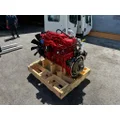 CUMMINS B6.7 Engine Assembly thumbnail 8